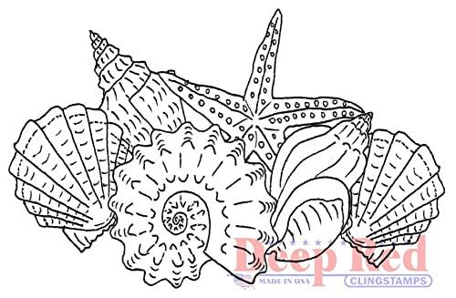 Deep Red Stamps Deep Red Stamps Seashells Rubber Cling Stamp 3 x 2 inches