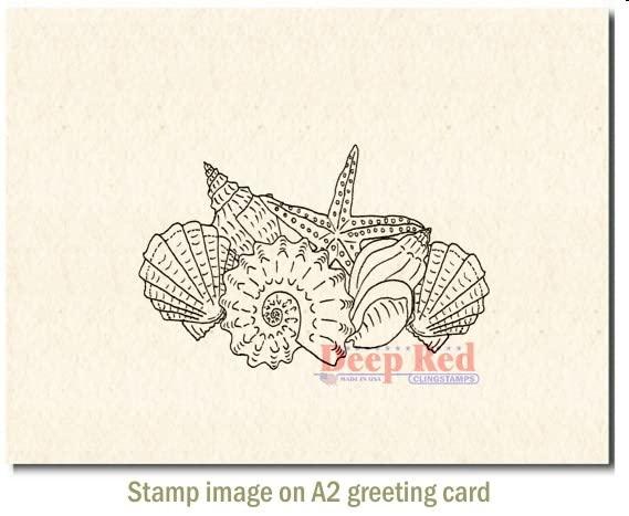 Deep Red Stamps Deep Red Stamps Seashells Rubber Cling Stamp 3 x 2 inches