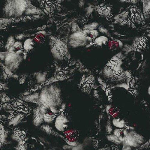 DIP DEMON Combo Kit Big Bad Wolf Hydrographic Water Transfer Film Activator Combo Kit Hydro Dipping Dip Demon