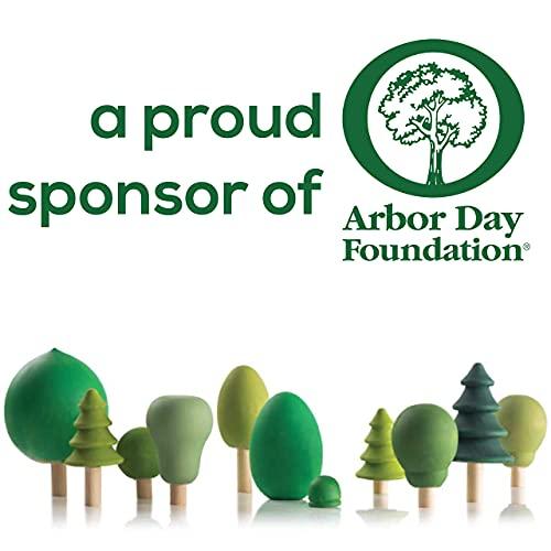 Woodpeckers Wood Circles 18 inch, 1/4 Inch Thick, Birch Plywood Discs, Pack of 5 Unfinished Wood Circles for Crafts, Wood Rounds by Woodpeckers