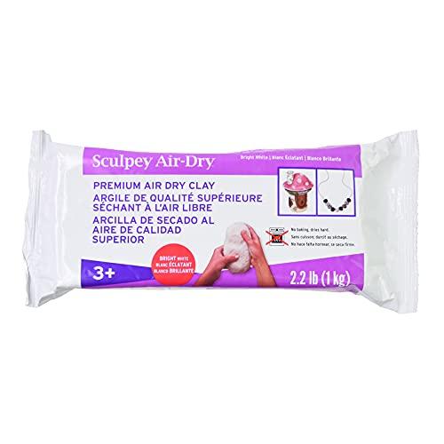 Sculpey Sculpey Air-Dry White, Non Toxic, Air Dry Clay, 2.2 pound bar great for modeling, sculpting, holiday, handprints, DIY and school projects. Great for all skill levels.