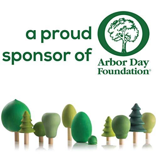 Woodpeckers Wood Circles 24 inch, 1/4 Inch Thick, Birch Plywood Discs, Pack of 2 Unfinished Wood Circles for Crafts, Wood Rounds by Woodpeckers